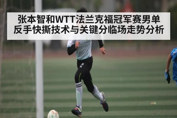 张本智和WTT法兰克福冠军赛男单反手快撕技术与关键分临场走势分析